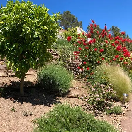 Du Belvedere - La Mer Guest house Saint-Raphael (Var)