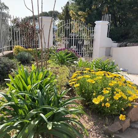 Guest house Du Belvedere - La Mer Saint-Raphael (Var)